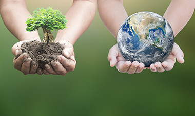 Baum, Weltkugel in Händen Umweltschutz Nachhaltigkeit
